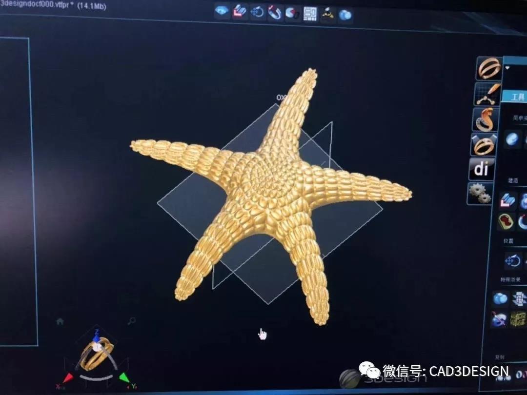 建模界面的海星便具有材質和肌理