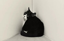 開(kāi)幕邀請(qǐng) | 致敬偉大攝影師Irving Penn——陳祺緯黑白肖像攝影展