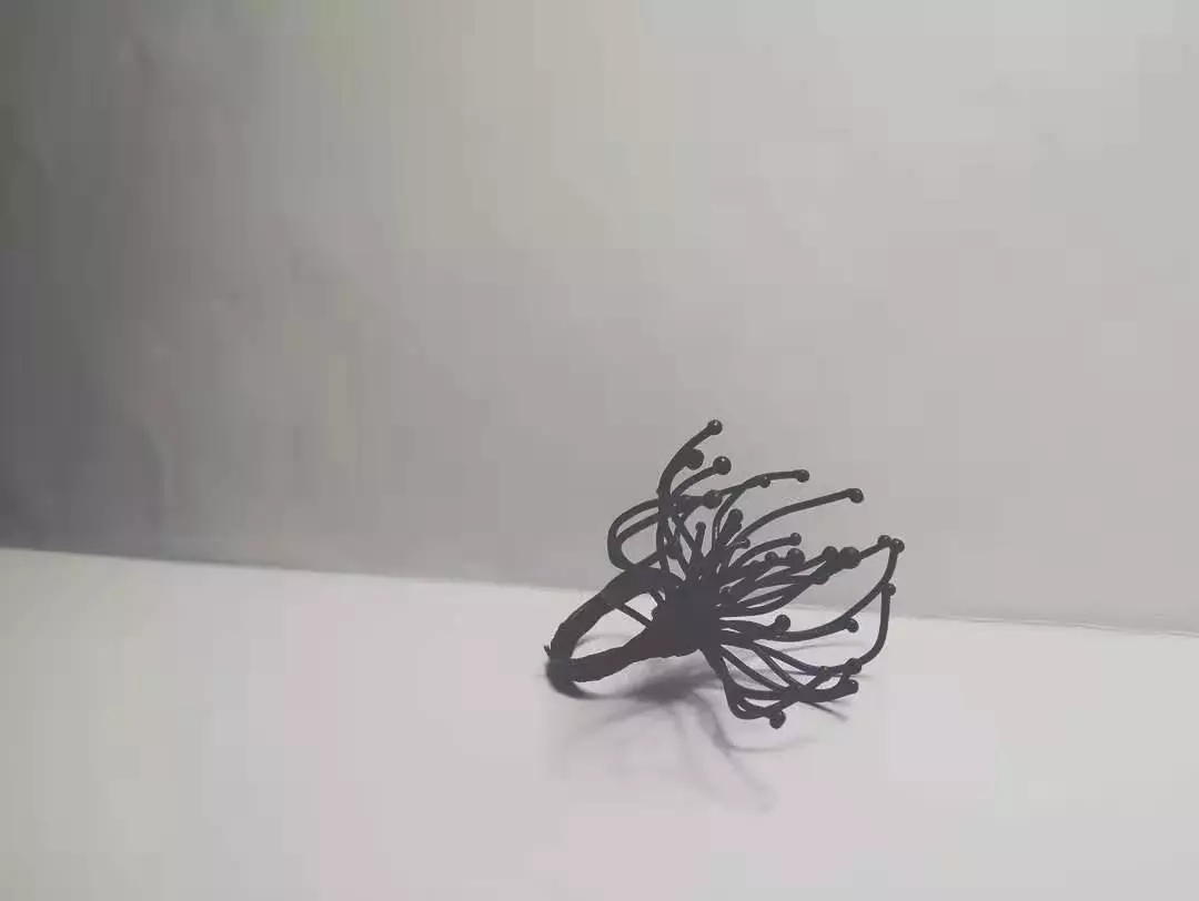 首飾Prototype by Lisha