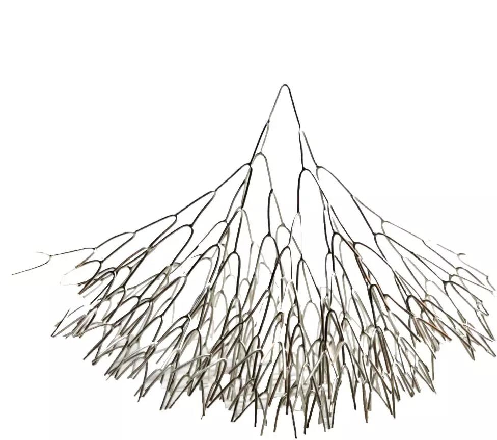 2的n次方系列, 2000, 銀 ©Vered Kaminski